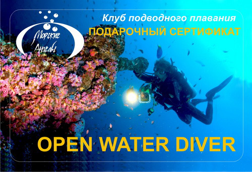 Сертификат на курс Open Water Diver (в группе)&nbsp; &nbsp;