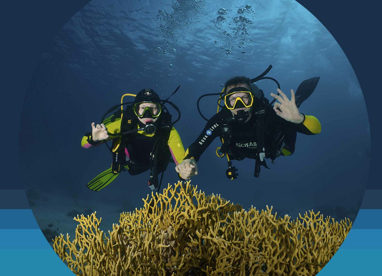 <span style="font-weight: bold;">Курс дайвинга Open Water Diver - Для начинающих</span>